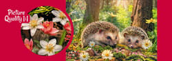 Galeria - zdjęcie nr. 2 - Puzzle 500 CherryPazzi Cute Visitors 20227