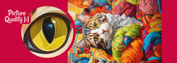Galeria - zdjęcie nr. 3 - Puzzle 500 CherryPazzi Feline Whimsy 20098