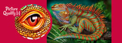 Galeria - zdjęcie nr. 5 - Puzzle 500 CherryPazzi Incredible Iguana 20128