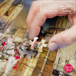 Galeria - zdjęcie nr. 3 - Puzzle 500 CherryPazzi Magic Krakow 20043