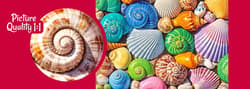 Galeria - zdjęcie nr. 3 - Puzzle 500 CherryPazzi  Ocean's Little Jewels 20494