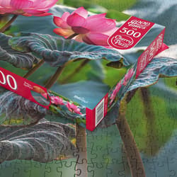 Galeria - zdjęcie nr. 3 - Puzzle 500 CherryPazzi Pink Lotus Flowers 20012