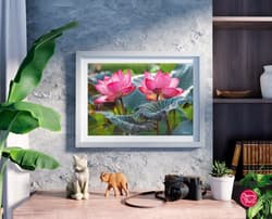 Galeria - zdjęcie nr. 3 - Puzzle 500 CherryPazzi Pink Lotus Flowers 20012