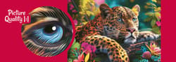 Galeria - zdjęcie nr. 2 - Puzzle 500 CherryPazzi Reclining Leopard 20166