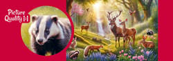 Galeria - zdjęcie nr. 2 - Puzzle 500 CherryPazzi The Forest Heart 20371