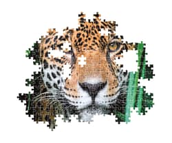Galeria - zdjęcie nr. 4 - Puzzle 500 Compact Jaguar In The Jungle 35541