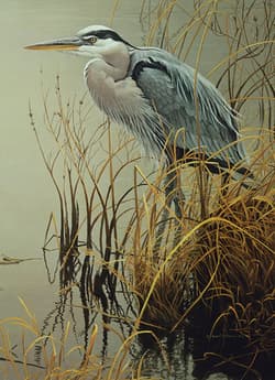 Galeria - zdjęcie nr. 2 - Puzzle 500 Czapla błękitna 113149