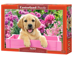 Puzzle 500 el. Labrador Puppy in Pink Box Castorland