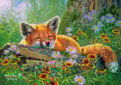 Galeria - zdjęcie nr. 2 - Puzzle 500 Foxy Dreams B-53872
