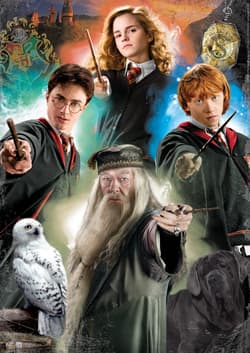 Galeria - zdjęcie nr. 2 - Puzzle 500 Harry Potter 112829