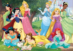 Galeria - zdjęcie nr. 2 - Puzzle 500 Księżniczki z bajek Disneya 110103