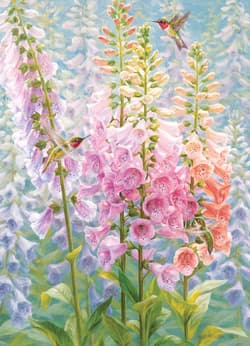 Galeria - zdjęcie nr. 2 - Puzzle 500 Letnia tęcza 113592