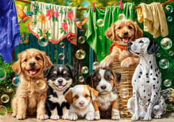 Galeria - zdjęcie nr. 2 - Puzzle 500 Puppies Laundry and Bird Antics B-54152