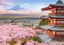 Galeria - zdjęcie nr. 2 - Puzzle 500 Spring in Japan B-54282