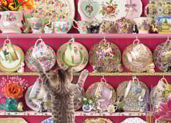 Galeria - zdjęcie nr. 2 - Puzzle 500 Troszkę więcej wysiłku 113139