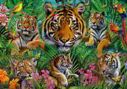Galeria - zdjęcie nr. 2 - Puzzle 500 Tygrysy w dżungli 112783