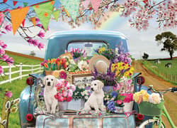 Galeria - zdjęcie nr. 2 - Puzzle 500 Wiosenna przejażdżka 113776