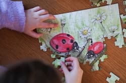 Galeria - zdjęcie nr. 2 - Puzzle 60 Biedronki