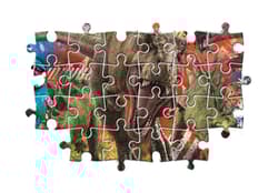 Galeria - zdjęcie nr. 4 - Puzzle 60 maxi super kolor Dinozaury 26456