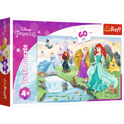 Puzzle 60 Poznaj Księżniczki 17361