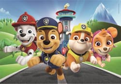 Galeria - zdjęcie nr. 2 - Puzzle 60 super color Paw patrol 26114