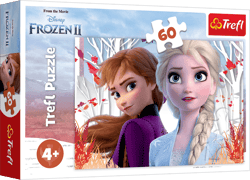 Puzzle 60 Zaczarowany świat Anny i Elsy Frozen 2 17333
