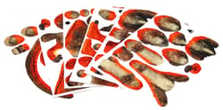 Galeria - zdjęcie nr. 4 - Puzzle 64 3D Dinozaury Welociraptor 111491