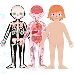 Galeria - zdjęcie nr. 4 - Puzzle Magnetyczne Moje ciało