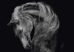 Galeria - zdjęcie nr. 2 - Puzzle PQ 1000 Ashley Rader Koń 112949