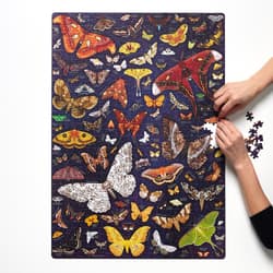 Galeria - zdjęcie nr. 4 - Puzzlove. CzuCzu Ćmy 1000 elementów
