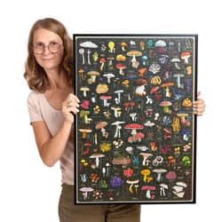 Galeria - zdjęcie nr. 2 - Puzzlove. CzuCzu Grzyby 1000 elementów