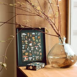 Galeria - zdjęcie nr. 5 - Puzzlove. CzuCzu Grzyby 150 elementów