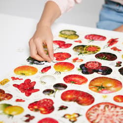 Galeria - zdjęcie nr. 5 - Puzzlove. CzuCzu Pomidory 1000 elementów