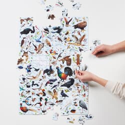 Galeria - zdjęcie nr. 4 - Puzzlove. CzuCzu Ptaki Polski 200 elementów
