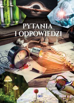 Pytania i odpowiedzi - Opracowanie Zbiorowe