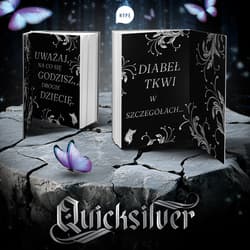 Galeria - zdjęcie nr. 2 - Quicksilver