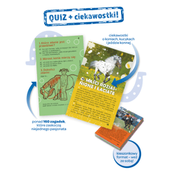 Galeria - zdjęcie nr. 2 - Quiz Konie i kucyki