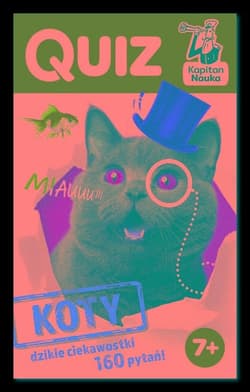 Quiz Koty - Małgorzata Biegańska-Hendryk
