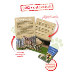 Galeria - zdjęcie nr. 3 - Quiz Psy