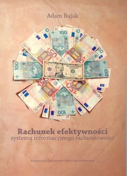 Rachunek efektywności systemu informacyjnego rachunkowości - Adam Bujak