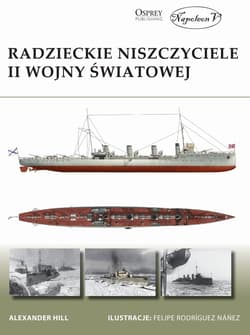 Radzieckie niszczyciele II wojny światowej - Hill Alexander