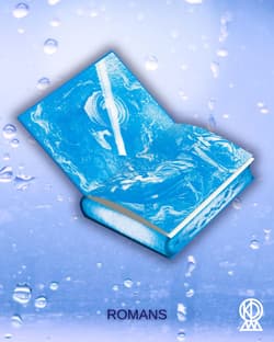 Galeria - zdjęcie nr. 2 - Rain. Wróć, nim zgasnę (ilustrowane brzegi)