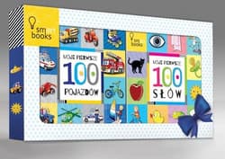 Ramka 2018 Boy Moje pierwsze 100 słów / Moje pierwsze 100 pojazdów Pakiet