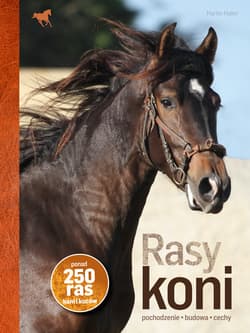 Rasy koni