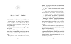 Galeria - zdjęcie nr. 3 - Raz dwa trzy Piaskowy Wilk