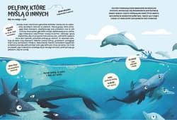 Galeria - zdjęcie nr. 3 - Razem nam lepiej. O współpracy wśród zwierząt.