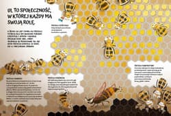 Galeria - zdjęcie nr. 2 - Razem nam lepiej. O współpracy wśród zwierząt.
