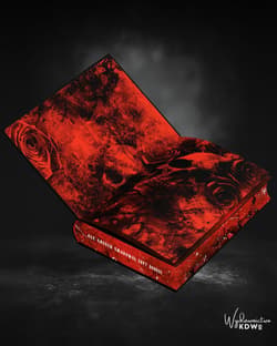 Galeria - zdjęcie nr. 4 - Red Jackals