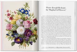 Galeria - zdjęcie nr. 5 - Redoute. Roses wer. angielska