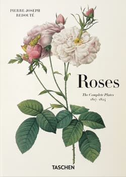 Redoute. Roses wer. angielska - Redoute Pierre-Joseph
